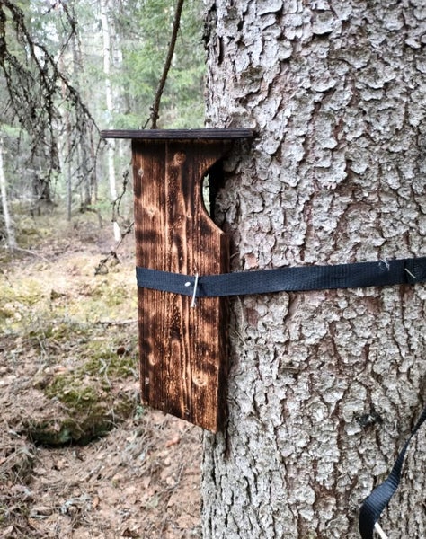 Tuomas Puukiipij&auml;n P&ouml;ntt&ouml;